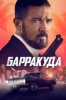 Барракуда