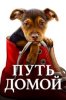 Путь домой