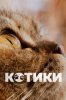 Котики