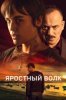Яростный волк