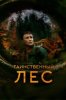 Таинственный лес