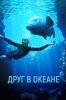 Друг в океане
