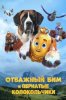 Отважный Бим и пернатые колокольчики