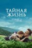 Тайная жизнь