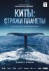 Киты: Стражи планеты