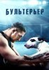 Бультерьер